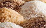 رکنا اقتصادی: دبیر انجمن واردکنندگان برنج گفت: در شرایط کنونی رکود بازار...